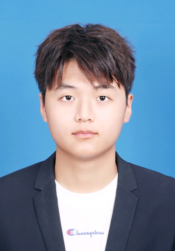 体育,数学,物理,化学